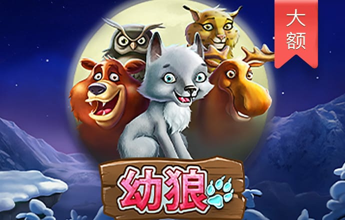 威斯尼斯wns888官网入口